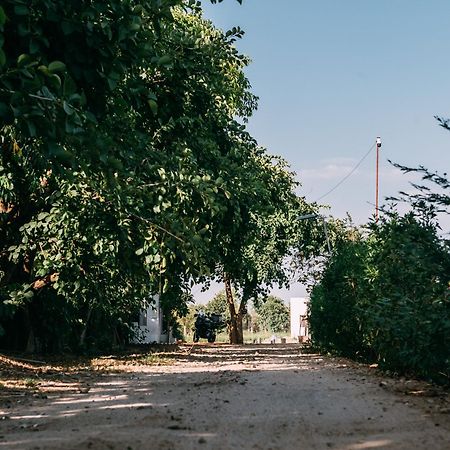 The Luxe Pushkar - A Luxury Farmstay In Pushkar Bagian luar foto