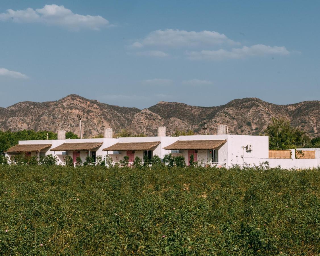 The Luxe Pushkar - A Luxury Farmstay In Pushkar Bagian luar foto