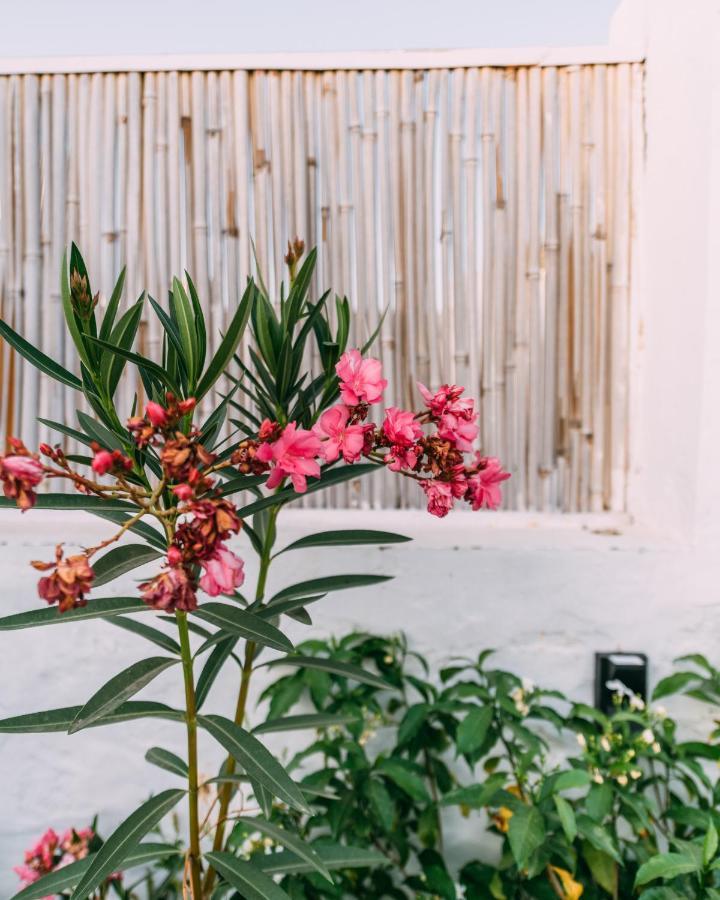 The Luxe Pushkar - A Luxury Farmstay In Pushkar Bagian luar foto
