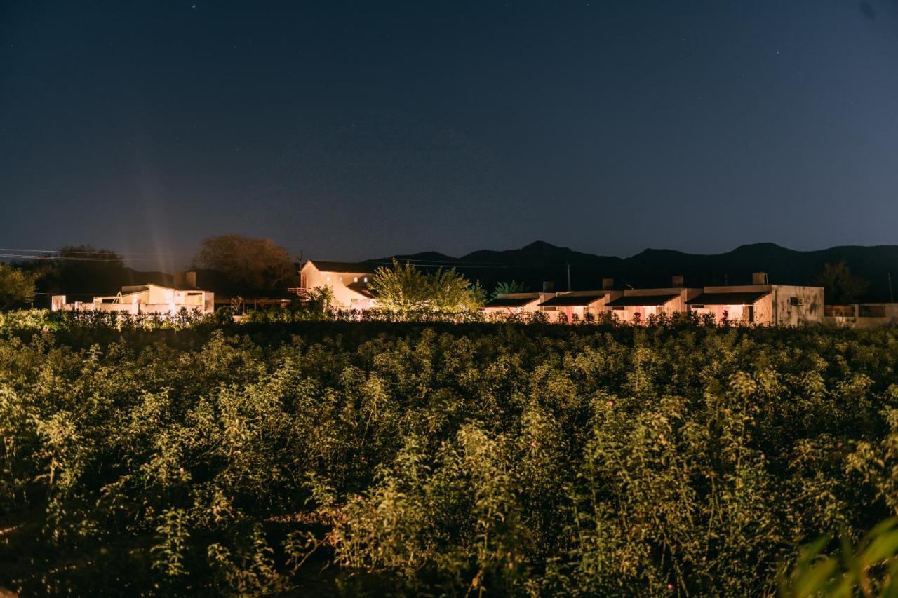 The Luxe Pushkar - A Luxury Farmstay In Pushkar Bagian luar foto