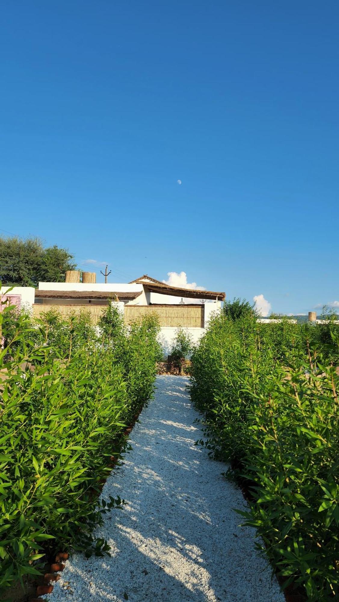 The Luxe Pushkar - A Luxury Farmstay In Pushkar Bagian luar foto