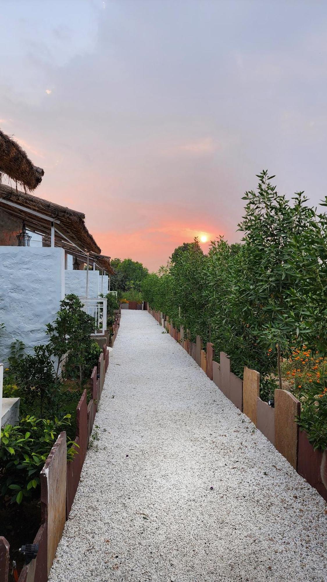 The Luxe Pushkar - A Luxury Farmstay In Pushkar Bagian luar foto