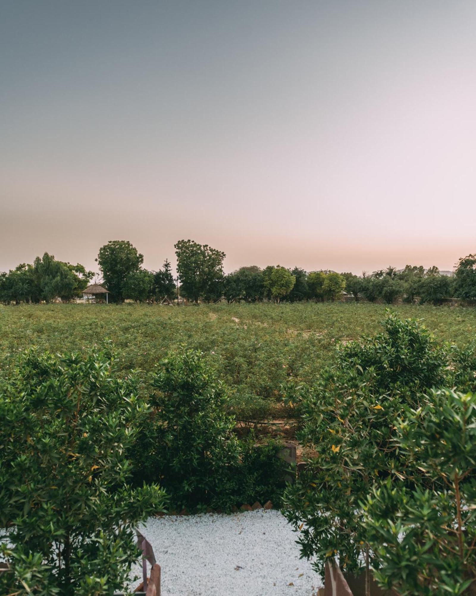 The Luxe Pushkar - A Luxury Farmstay In Pushkar Bagian luar foto